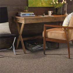 Basement Loop Carpet