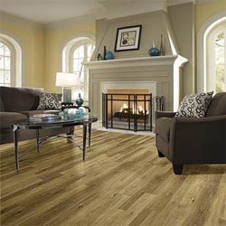 Laminate Flooring Living Room